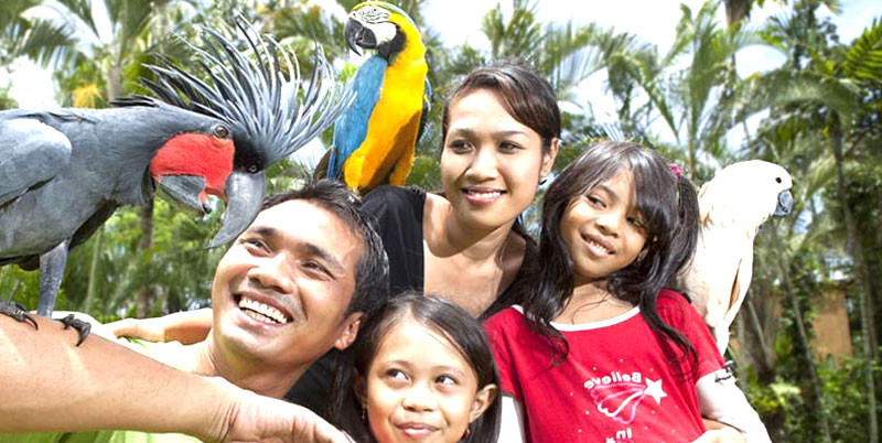 Bali Bird Park