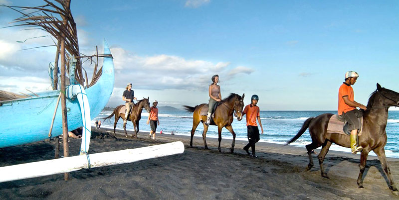 Bali Horse Riding